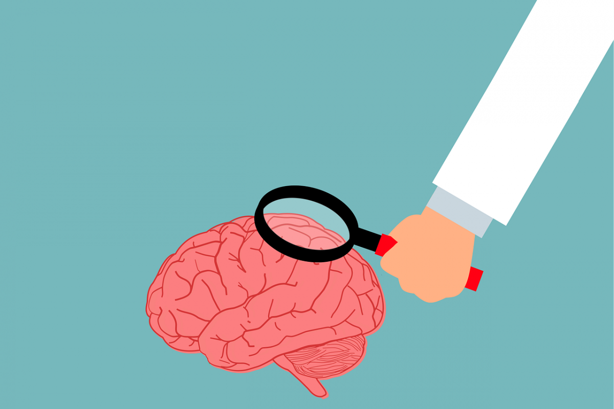 Neurolog — na czym polega ten zawód?