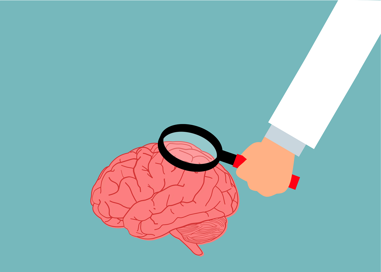 Neurolog — na czym polega ten zawód?