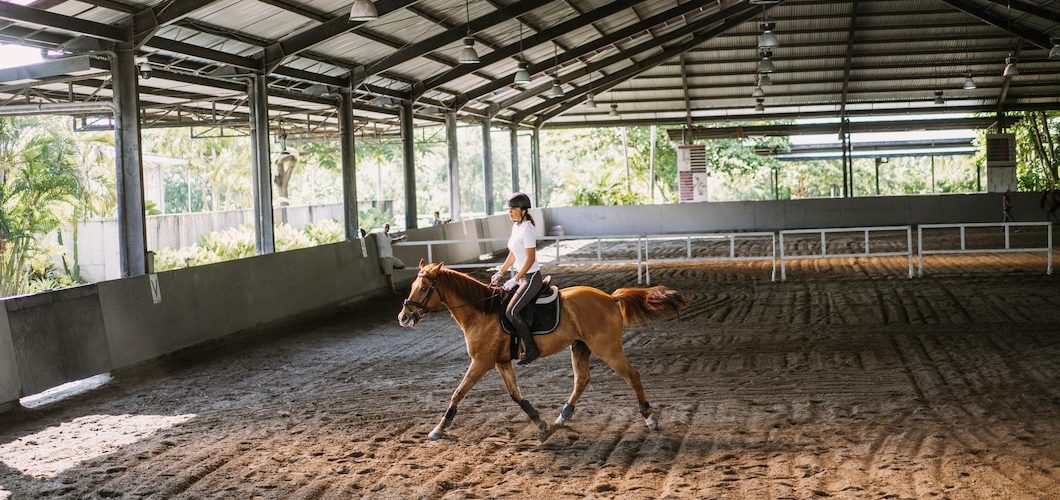 Jak balancery mogą poprawić zdrowie i kondycję twojego konia?