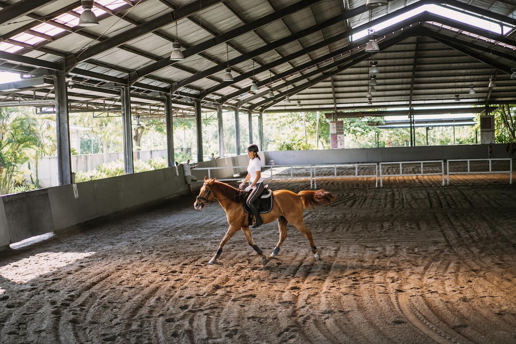 Jak balancery mogą poprawić zdrowie i kondycję twojego konia?